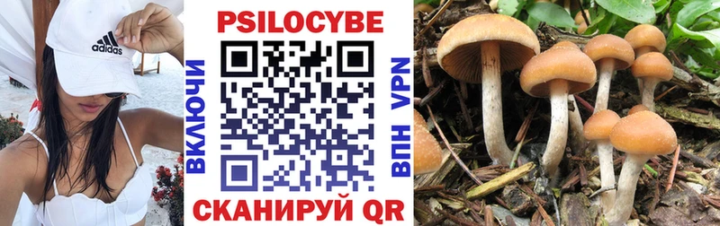 Галлюциногенные грибы Psilocybine cubensis  Ярцево 