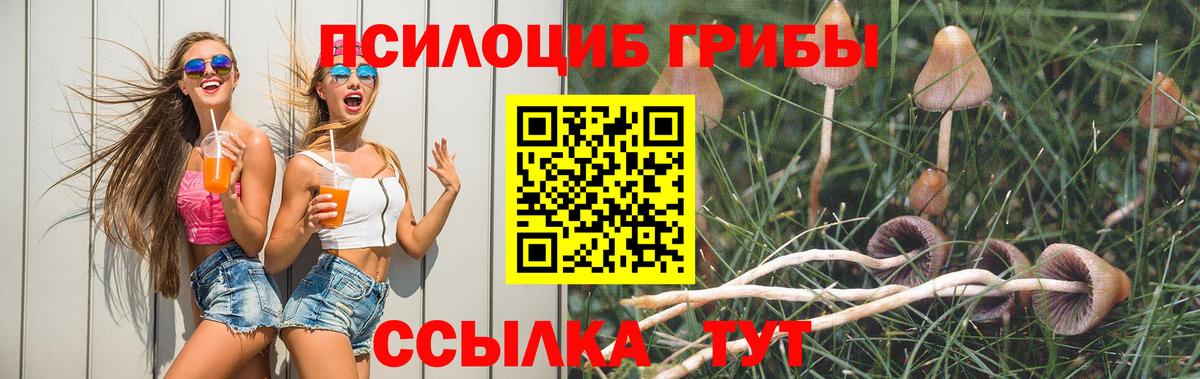 Ярцево  Псилоцибиновые грибы Magic Shrooms  Вход с VPN  Галлюциногенные грибы GOLDEN TEACHER 